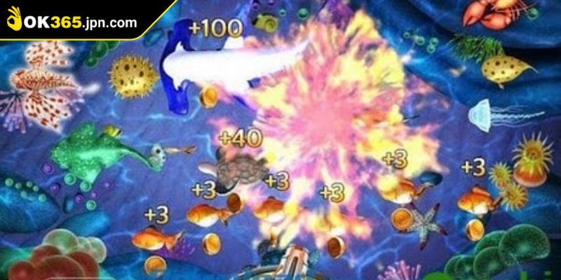 Bí quyết chinh phục thế giới côn trùng từ cao thủ