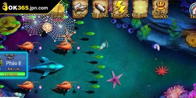 Câu Cá Phát Tài OK365 Cơ Hội Đổi Đời Trong Tầm Tay Bạn 3 Cách bắt đầu hành trình khám phá đại dương số